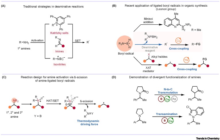 1-s2.0-S2589597425002850-gr1
