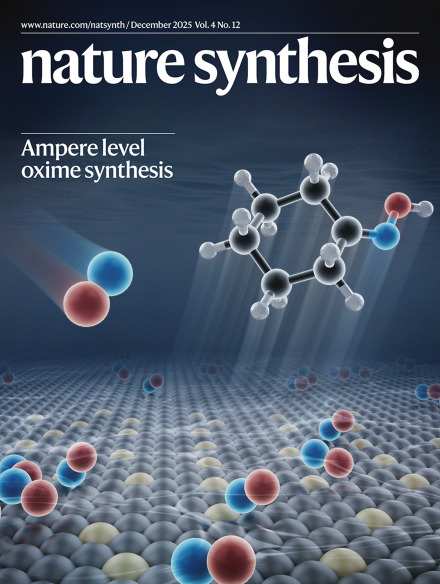 WhatsApp Image 2025-12-30 at 11.44.01